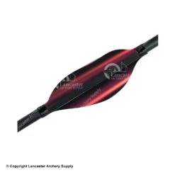 Spider Vanes 1.8" Medium Recurve Vanes -ArrowPro Shop 1240026 red