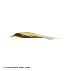 Spider Vanes 2-1/8" Invictus Vanes For Compound -ArrowPro Shop 1240029 gold