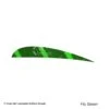 Ozark 3" Parabolic Barred Color Feather -ArrowPro Shop 1610008 flogreen