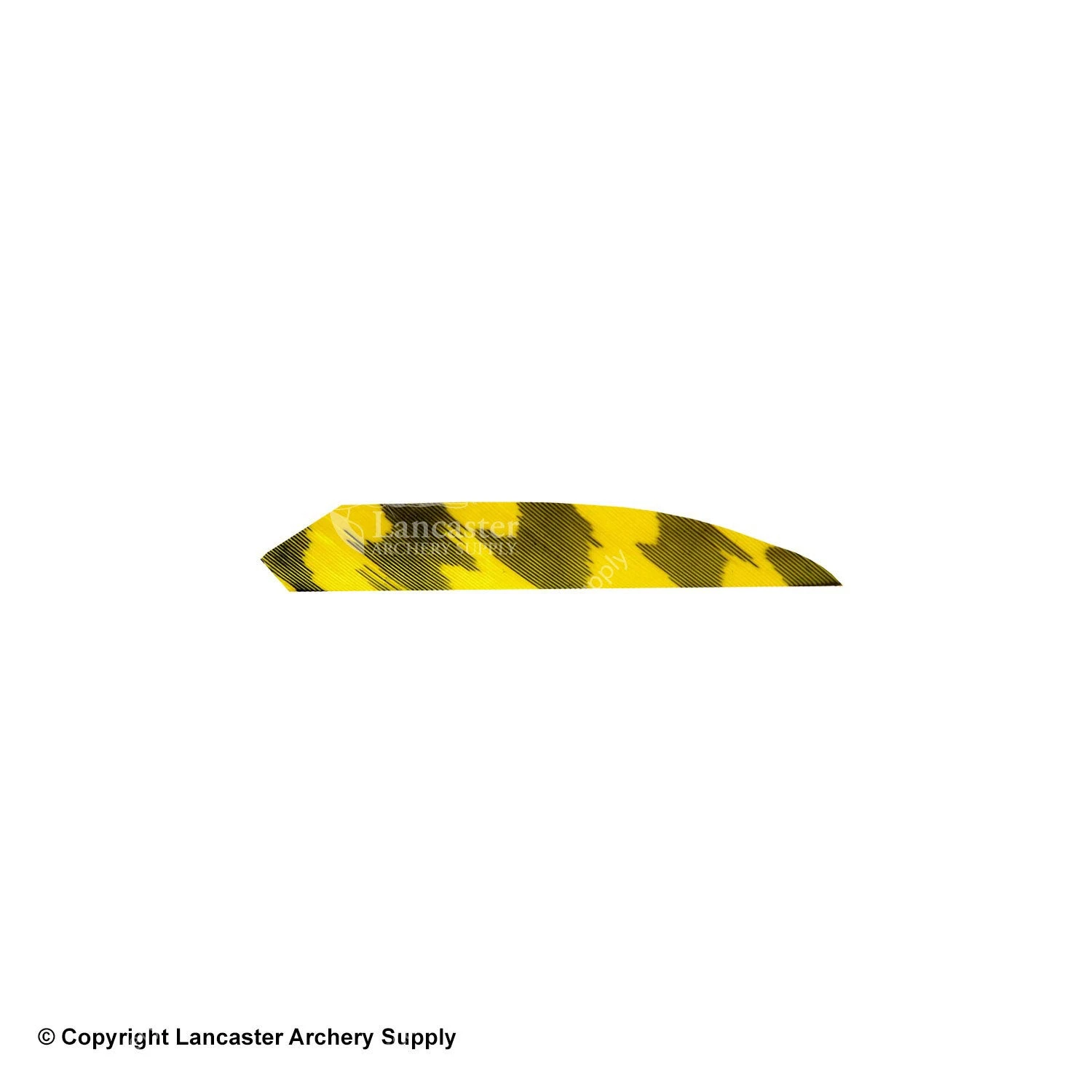 Ozark 2" Target Maxx Field Barred Color Feather 6 Ozark 2" Target Maxx Field Barred Color Feather - Image 4