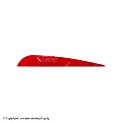 AAE TRAD Vane -ArrowPro Shop 1790224 red 40