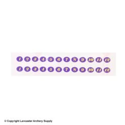 Gunstar Tail Numbers -ArrowPro Shop 2010017 purple yellow