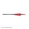 Carbon Express Thunder Express Arrow -ArrowPro Shop 2250118 db82a595 ea8c 4142 8faa 76e4fa4c2736