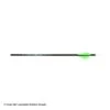 Carbon Express Predator II Fletched Arrow (Vanes) -ArrowPro Shop 2250311 vanes