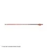 Carbon Express Maxima RED Fletched Arrows 2 Carbon Express Maxima RED Fletched Arrows -ArrowPro Shop 2250555 arrow
