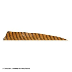 Gateway 5" Shield Barred Feather -ArrowPro Shop 2270004 brown