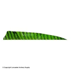 Gateway 5" Shield Barred Feather -ArrowPro Shop 2270004 chartreuse