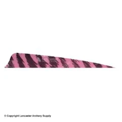 Gateway 5" Shield Barred Feather -ArrowPro Shop 2270004 pink