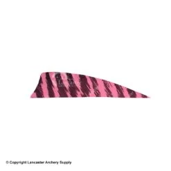 Gateway 3" Shield Barred Feather -ArrowPro Shop 2270005 pink