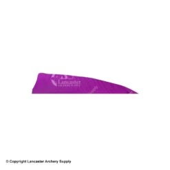 Gateway 4" Shield Feather -ArrowPro Shop 2270007 purple