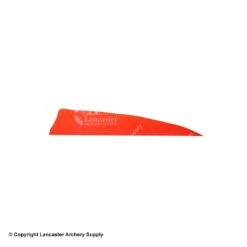 Gateway 4" Shield Feather -ArrowPro Shop 2270007 red
