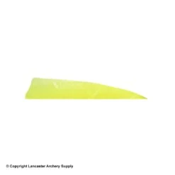 Gateway 5" Shield Feather -ArrowPro Shop 2270008 floyellow