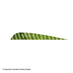 Gateway 5" Parabolic Barred Feather -ArrowPro Shop 2270013 chartreuse