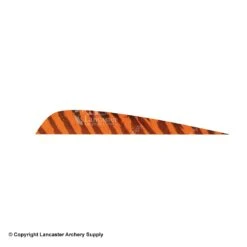 Gateway 5" Parabolic Barred Feather -ArrowPro Shop 2270013 orange