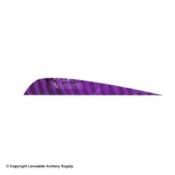 Gateway 5" Parabolic Barred Feather -ArrowPro Shop 2270013 purple
