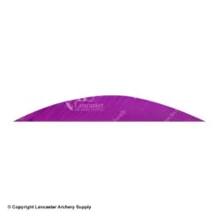 Gateway 5 1/2" Magnum Banana Feather 33 Gateway 5 1/2" Magnum Banana Feather -ArrowPro Shop 2270019 purple
