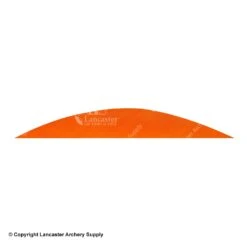 Gateway 5 1/2" Magnum Banana Feather 31 Gateway 5 1/2" Magnum Banana Feather -ArrowPro Shop 2270019 tangerine