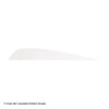 Gateway 4" Parabolic Feather -ArrowPro Shop 2270027 white