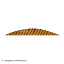 Gateway 5 1/2" Magnum Banana Barred Feather -ArrowPro Shop 2270030 brown