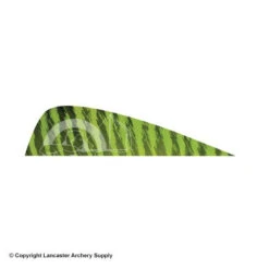 Gateway 3" Parabolic Barred Feather -ArrowPro Shop 2270031 chartreuse