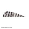 Gateway 3" Parabolic Barred Feather -ArrowPro Shop 2270031 white