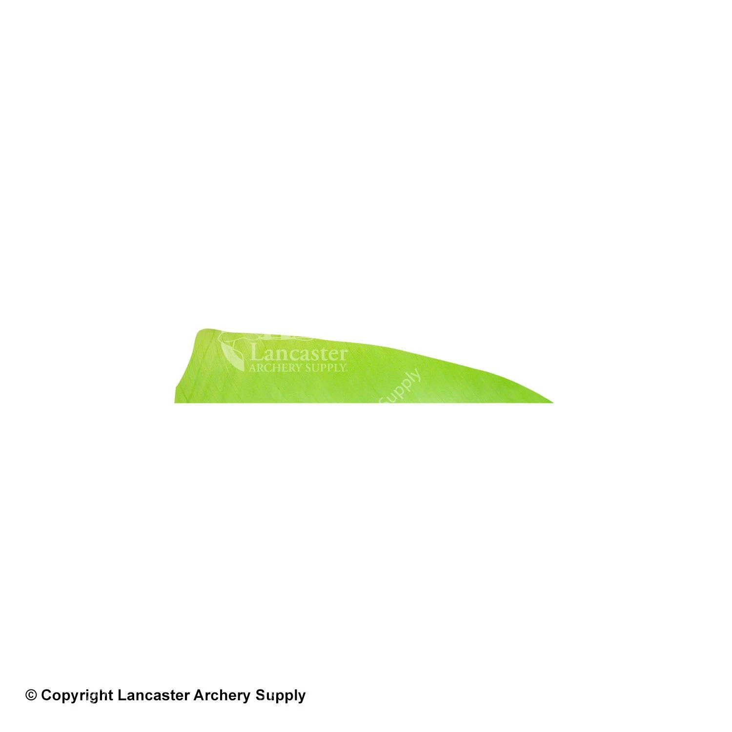 Gateway 3" Shield Feather 6 Gateway 3" Shield Feather - Image 4