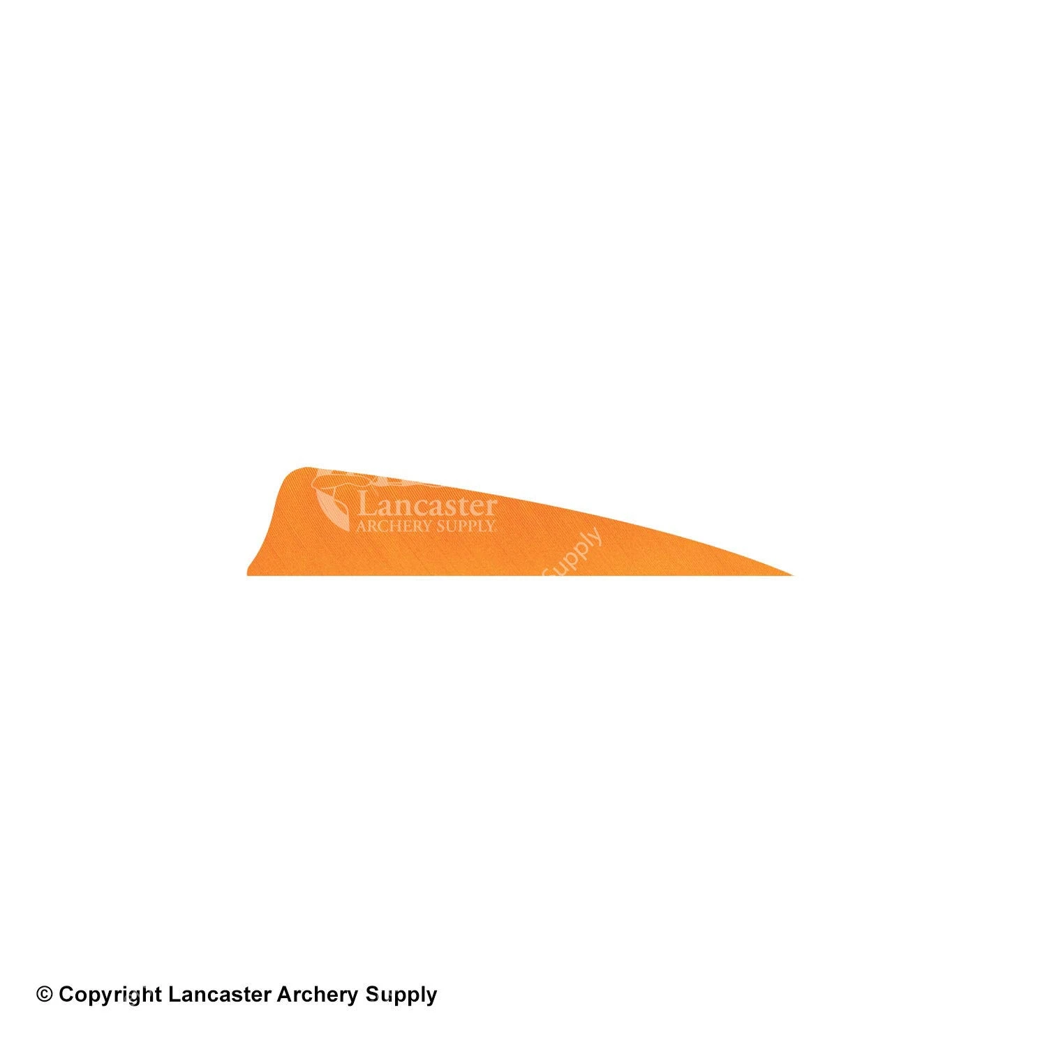 Gateway 3" Shield Feather 10 Gateway 3" Shield Feather - Image 8