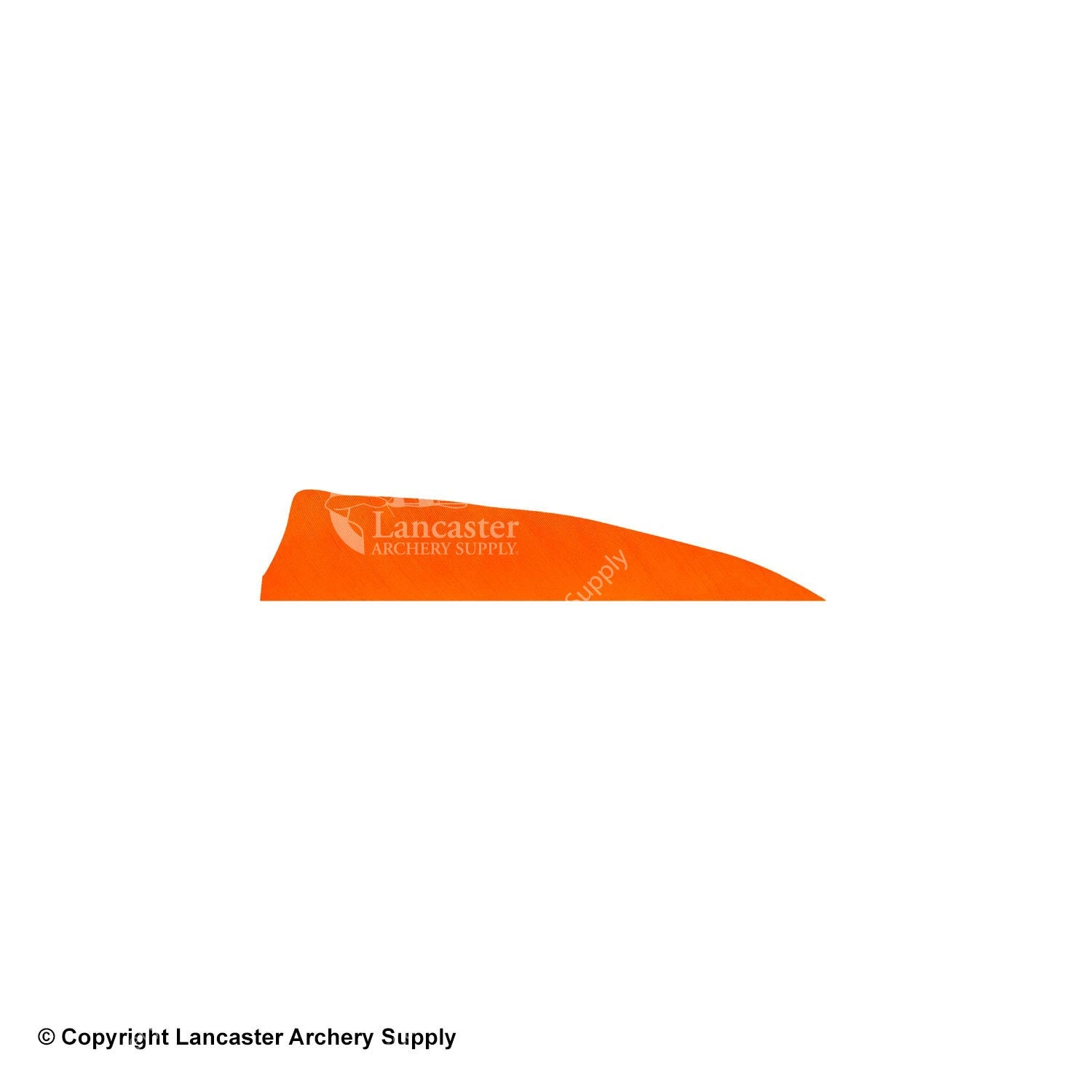 Gateway 3" Shield Feather 16 Gateway 3" Shield Feather - Image 14