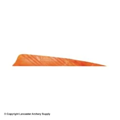 Gateway 4" Shield Tre Camo Feather -ArrowPro Shop 2270044 orange white