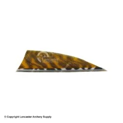 Gateway 2" Rayzr Printz Feather 14 Gateway 2" Rayzr Printz Feather -ArrowPro Shop 2270057 yellow