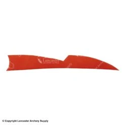 Gateway 4.5" Batwing Feather -ArrowPro Shop 2270068 orange