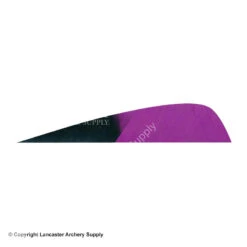 Gateway 3" Parabolic Hann-Bun Kuro Feather -ArrowPro Shop 2270072 purple