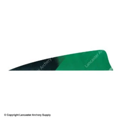 Gateway 4" Shield Hann-Bun Kuro Feather -ArrowPro Shop 2270074 green