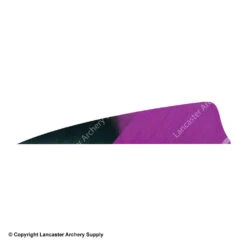 Gateway 4" Shield Hann-Bun Kuro Feather -ArrowPro Shop 2270074 purple