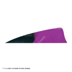 Gateway 3" Shield Hann-Bun Kuro Feather -ArrowPro Shop 2270075 purple