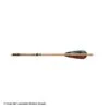 Gold Tip Traditional Fletched Arrows -ArrowPro Shop 2320375