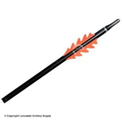 BJORN DragonFlight Vanes (2-1/4") -ArrowPro Shop 2420001 orange