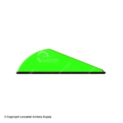 Q2i Rapt-X Vanes -ArrowPro Shop 3350027 ngreen