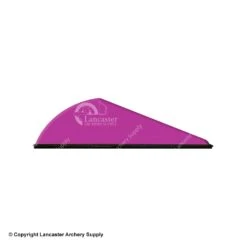 Q2i Rapt-X Vanes -ArrowPro Shop 3350027 purple