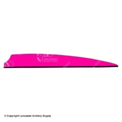 Q2i Fusion X-II 4.0" Vanes -ArrowPro Shop 3350033 pink