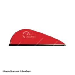 Q2i Predator-X Vanes -ArrowPro Shop 3350039 red 23391f0a 8b4f 4c3e b63a 287e512d0e84