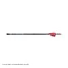PSE Razorback Youth Arrow 2 PSE Razorback Youth Arrow -ArrowPro Shop 3530496 label