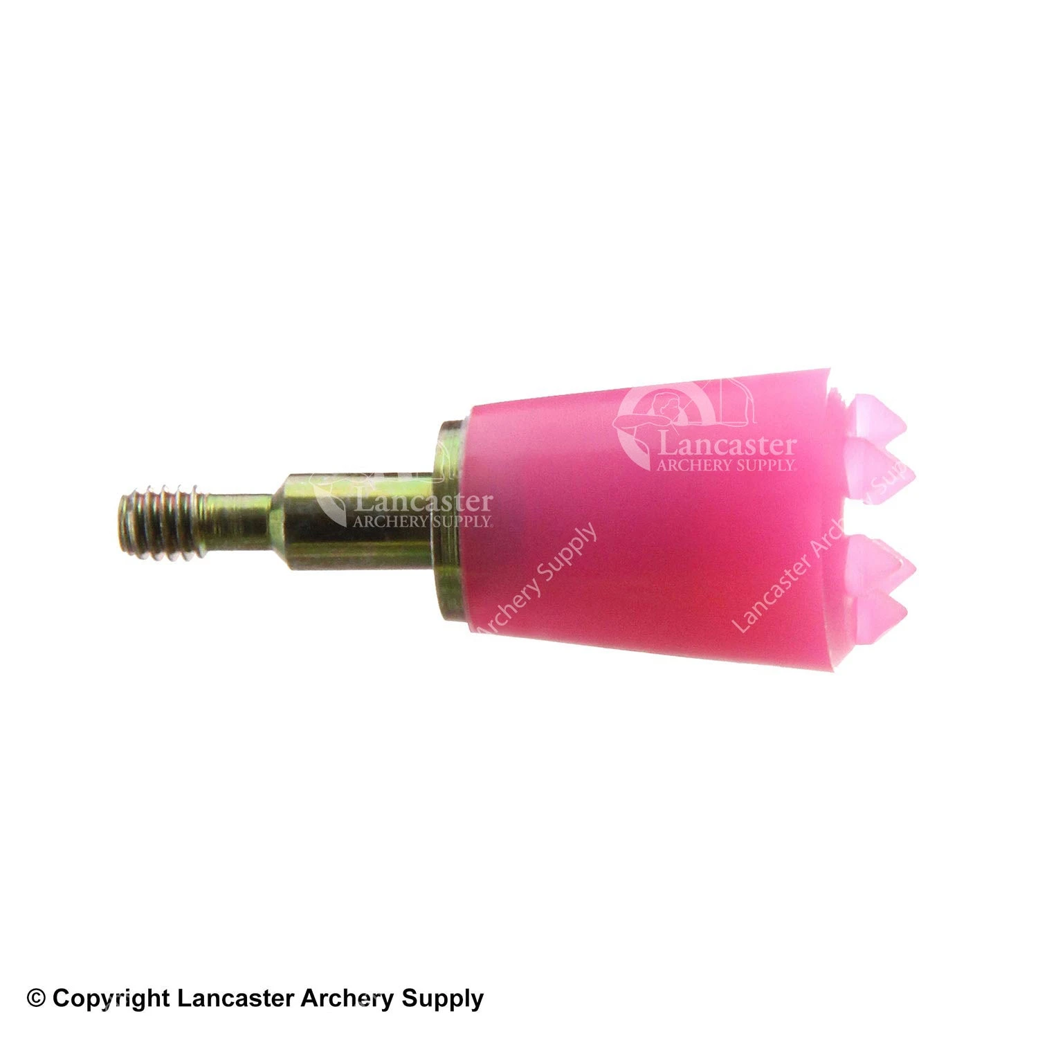 Saunders Screw-In Bludgeon Points 4 Saunders Screw-In Bludgeon Points - Image 2