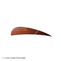 Trueflight 3" RW Round Back Feather -ArrowPro Shop 5200003 autumn brown 88f393f0 d591 46b8 9ca2 0021ab51495f