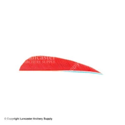 Trueflight 3" RW Round Back Feather -ArrowPro Shop 5200003 blaze 8c03c6d4 fbc0 44a4 badd edefced4b71b