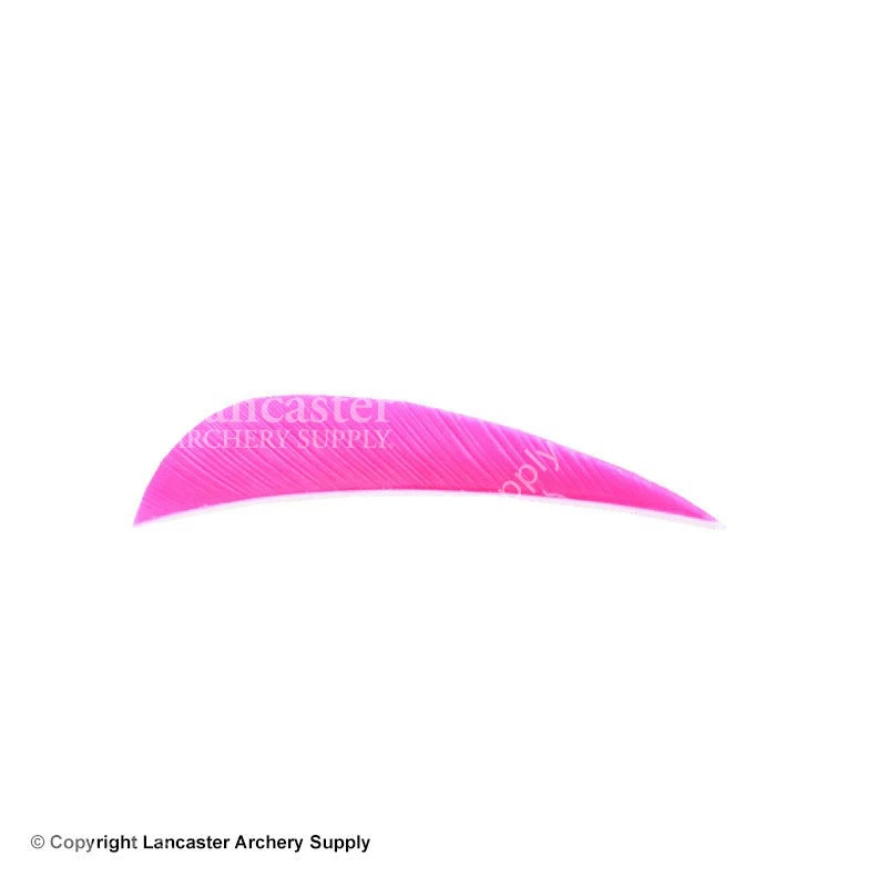 Trueflight 2.5" RW Round Back Feather 4 Trueflight 2.5" RW Round Back Feather - Image 2