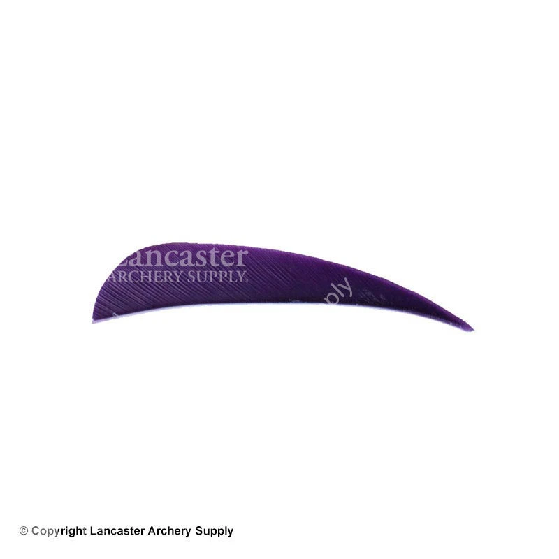 Trueflight 2.5" RW Round Back Feather 15 Trueflight 2.5" RW Round Back Feather - Image 13