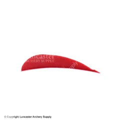 Trueflight 2.5" RW Round Back Feather 18 Trueflight 2.5" RW Round Back Feather -ArrowPro Shop 5200003 scarlet red