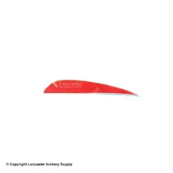 Trueflight 4" RW Round Back Feather -ArrowPro Shop 5200004 blaze