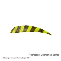 Trueflight Barred 4" RW Round Back Feather -ArrowPro Shop 5200005 barredchartruse